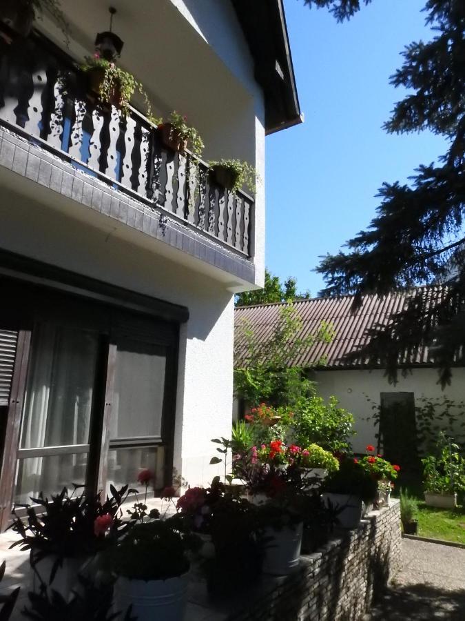 Haus Gizella Hotel Harkány Екстериор снимка