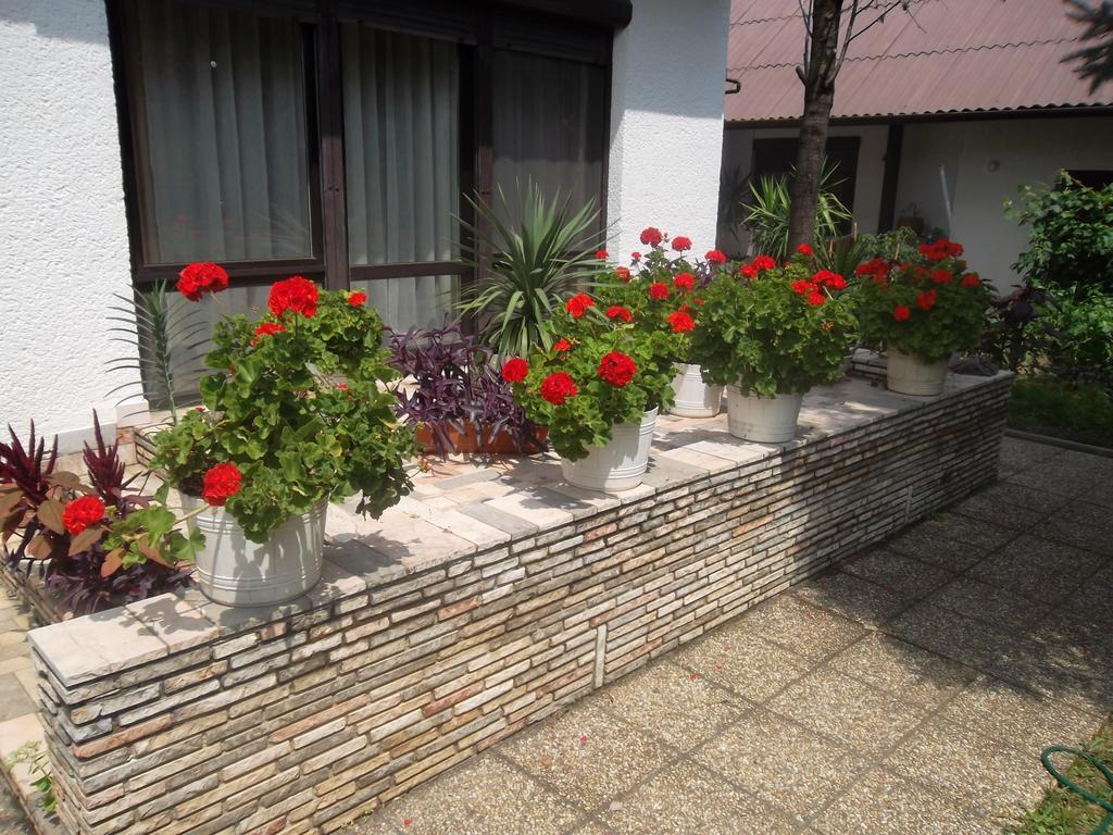 Haus Gizella Hotel Harkány Екстериор снимка
