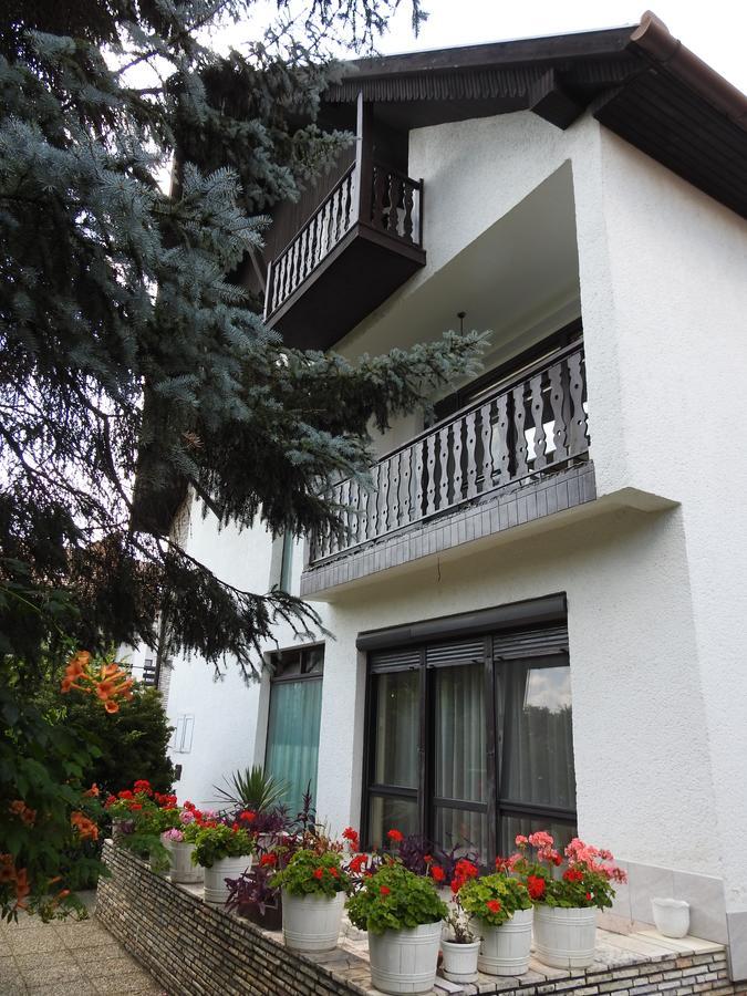 Haus Gizella Hotel Harkány Екстериор снимка